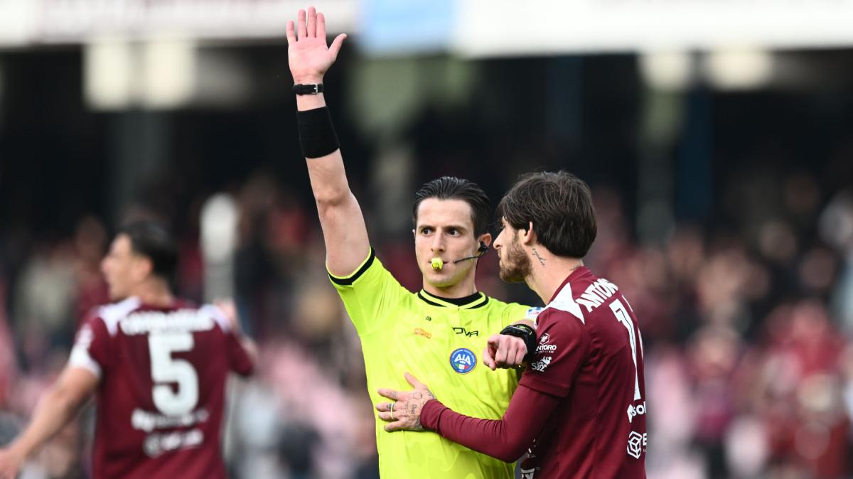 18 gare su 29 macchiate da torti arbitrali: alla Salernitana mancano almeno 10 punti. L'elenco