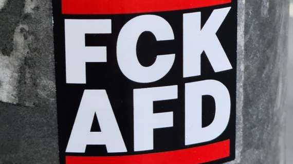 Domani manifestazione contro l’AfD – 11 maggio 2025 (in oltre 65 città )