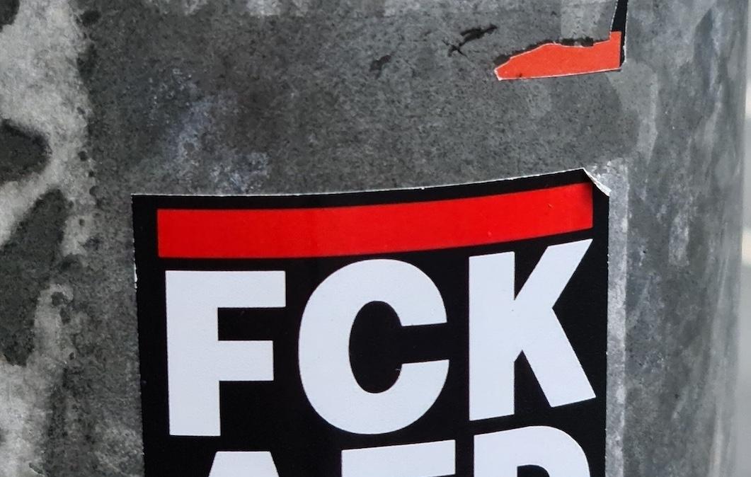 Buon anno dalle Brigate Garibaldi! Insieme contro AFD!