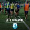 Giovanili Tritium, riparte l'attività agonistica della nuova stagione 2025/26