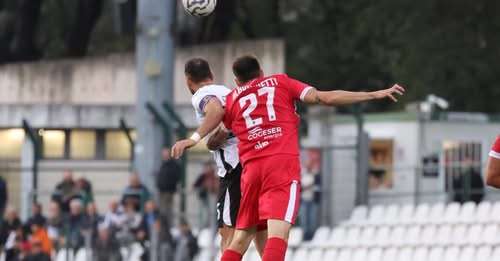 Pro Vercelli-Giana Erminio