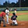 Baseball, White Sox Buttrio a testa alta contro la nuova capolista Verona