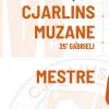 Serie D, Cjarlins Muzane in testa da solo: battuto 1-0 il Mestre