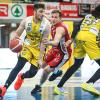 UEB Cividale, l’avversaria in semifinale playoff sarà la Dole Rimini