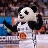PandApu conquista il Carnera: ecco la nuova mascotte dell’Apu Udine