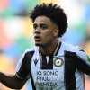 Udinese, il Botafogo segue con interesse l'attaccante Brenner