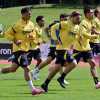 Udinese, la sensazione dal ritiro: squadra in costruzione, il mercato sarà determinante. Sanchez la nota dolente