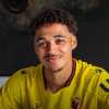 UFFICIALE - Watford, decimo rinforzo: dal Manchester City arriva in prestito Alleyne