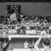 Dinamo Gorizia, il presidente Palumbo: "Un'annata splendida. Colli? Un Super Eroe"