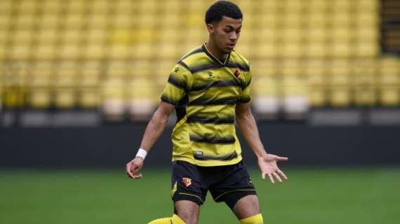 Watford, rinnova il giovane Andrews