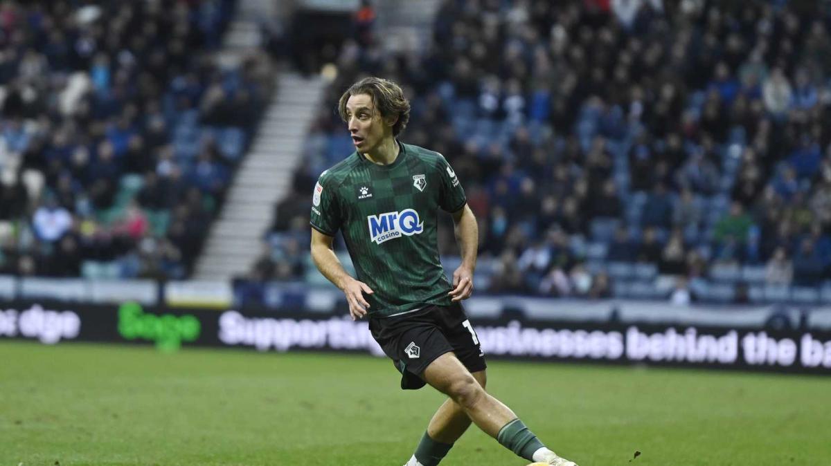 Watford, Still su Bove: "Non vogliamo che si bruci troppo in fretta"