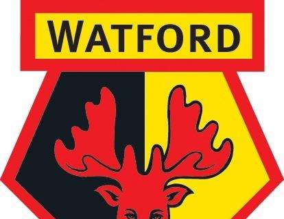 Watford sconfitto in casa dal Reading