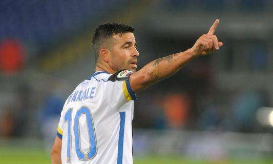 Udinese-Milan, LE PROBABILI FORMAZIONI: Colantuono con il dubbio in attacco, Mihajlovic lancia Balotelli