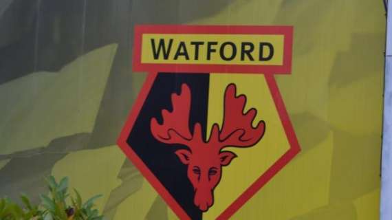 Watford, squadra affidata all’allenatore dell’Under23