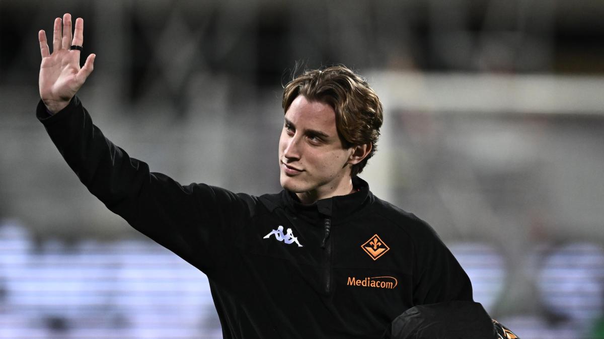 Watford, c'è la firma con Edoardo Bove: i dettagli