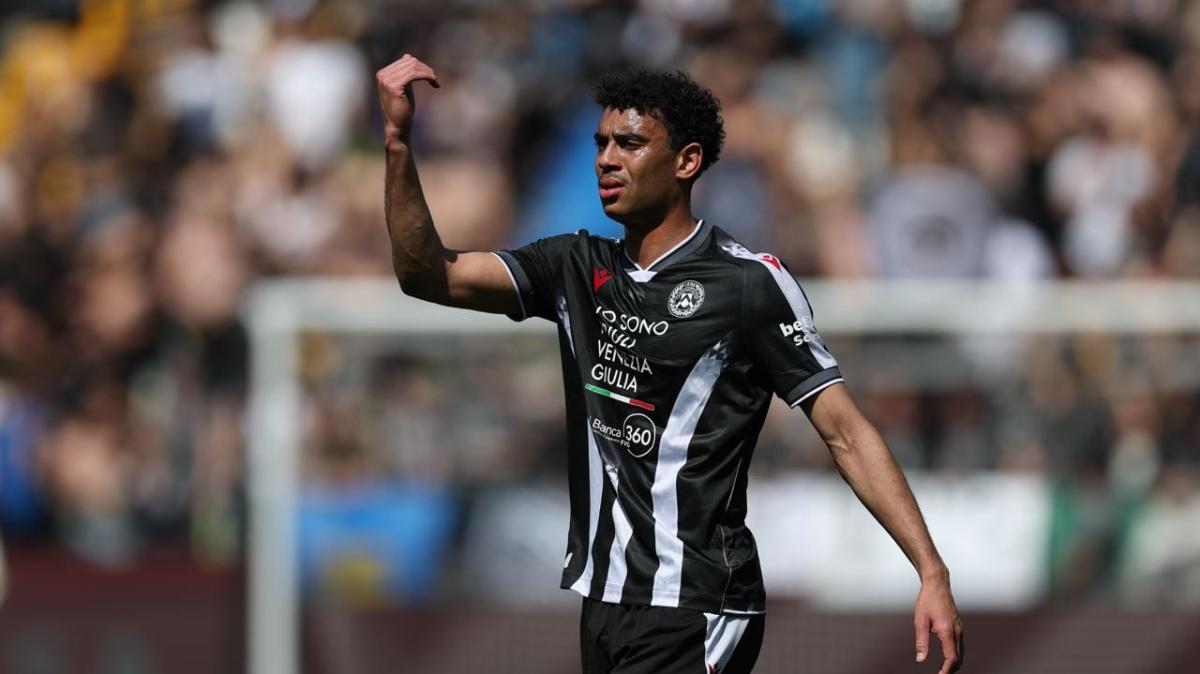 Il Giudice Sportivo punisce l'Udinese per "responsabilità oggettiva": il motivo 