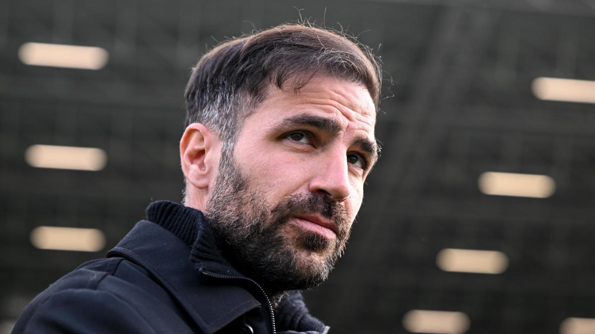 Como, Fabregas: “Udinese in crescita e molto fisica; Jesus Rodriguez non è pronto per la gara”