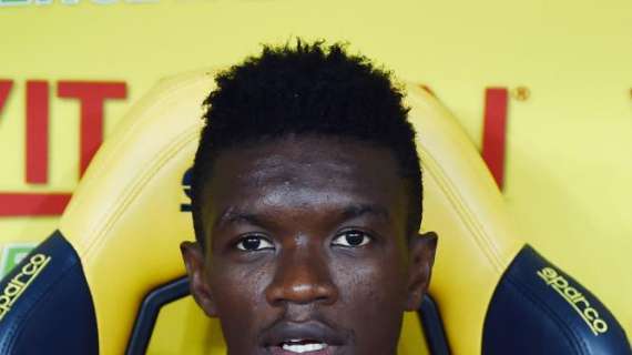 QUI BOLOGNA - Mbaye scalpita, Mihajlovic potrebbe dargli una chance contro l'Udinese