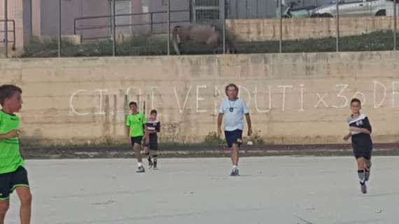 A Trapani i giovani crescono giocando a calcio con la maglia dell'Udinese indosso