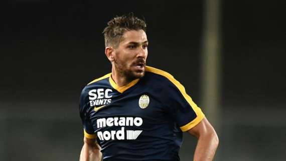 QUI VERONA. A parte Cerci e Fares