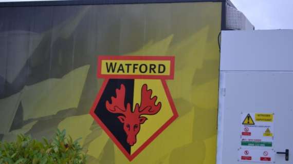 Watford, per l'attacco piace la punta beninese Mounie