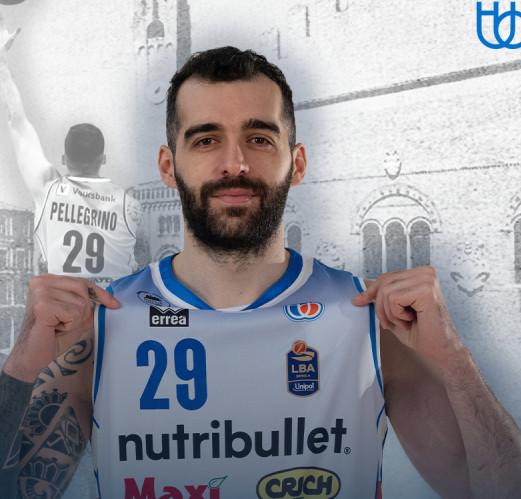 Treviso, Pellegrino: "Siamo in crescita. Ritorno a Udine? Una bella emozione" 