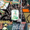 DIRETTA SERIE B, Palermo-Venezia: via alle 20:30