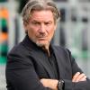Spezia-Venezia, FORMAZIONI UFFICIALI: c'è Franjic. In fascia confermato Haps