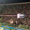 Palermo-Venezia, sono 31.993 gli spettatori totali al Barbera