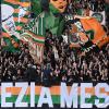 Immagine news 7