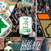 DIRETTA SERIE B, Avellino-Venezia: via alle ore 15:00