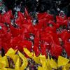 Immagine news Altre notizie n.1