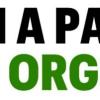 Immagine news Altre notizie n.1
