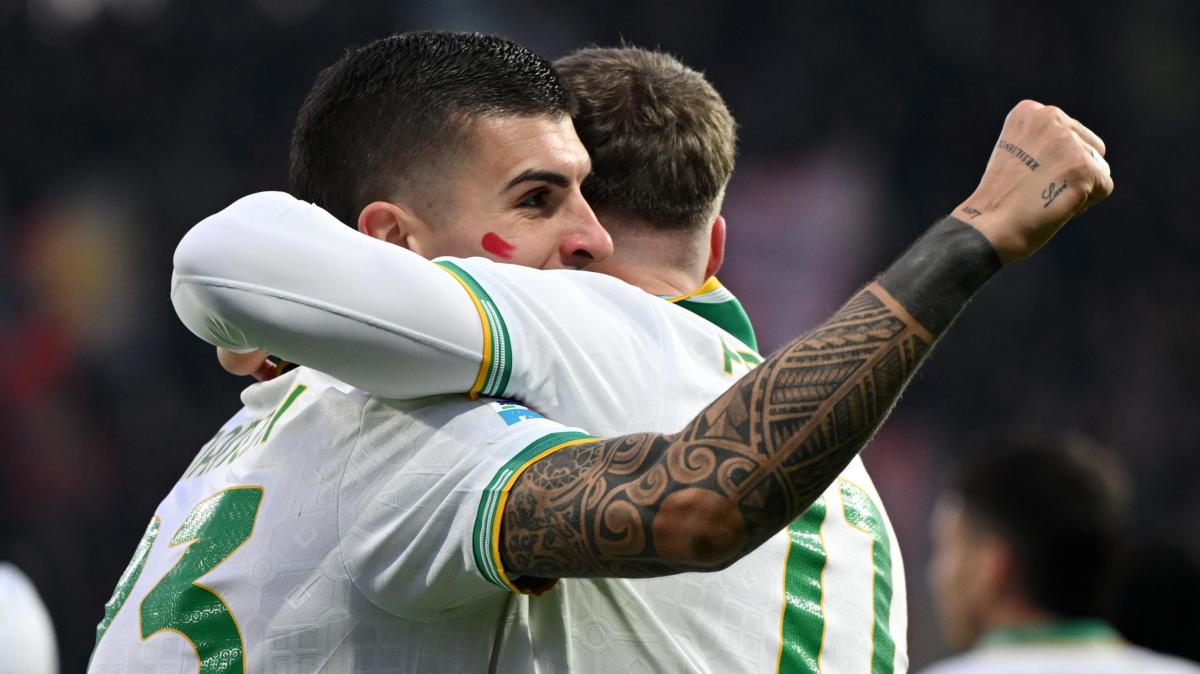 Immagine strip Primo piano n.1