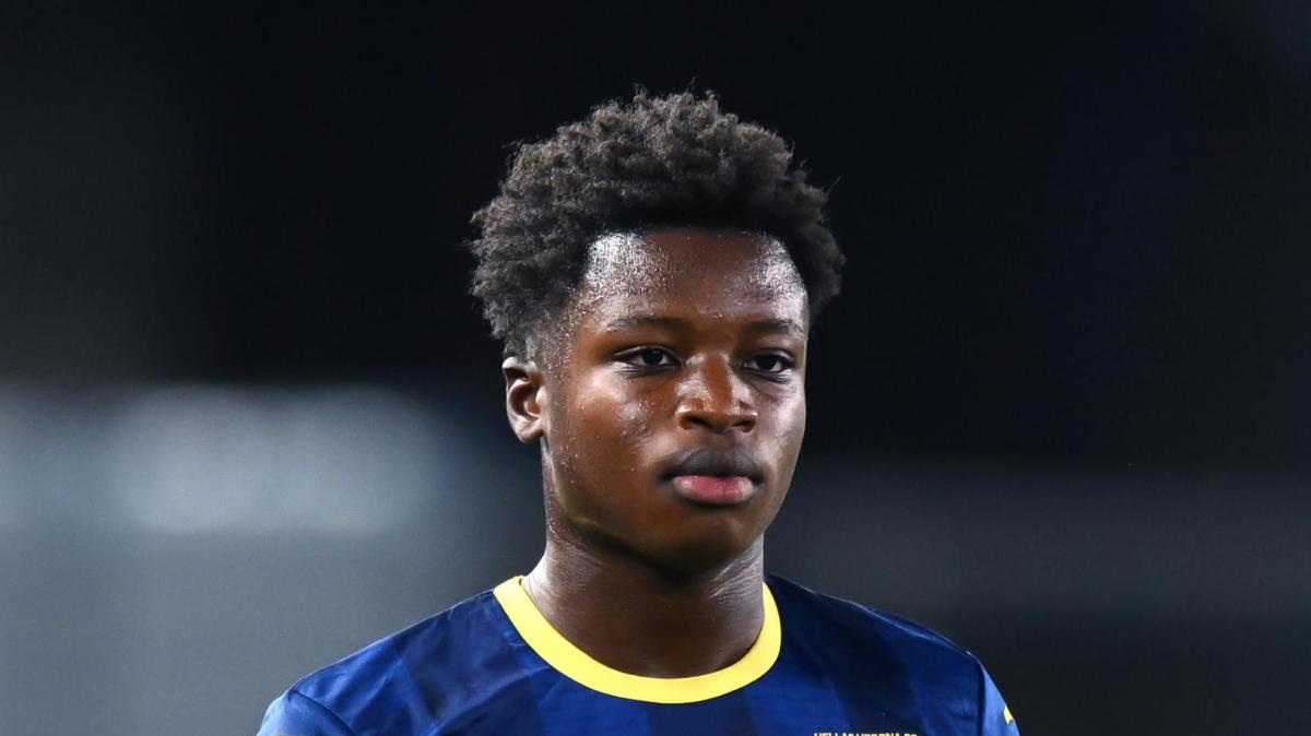 Immagine strip Primo piano n.2