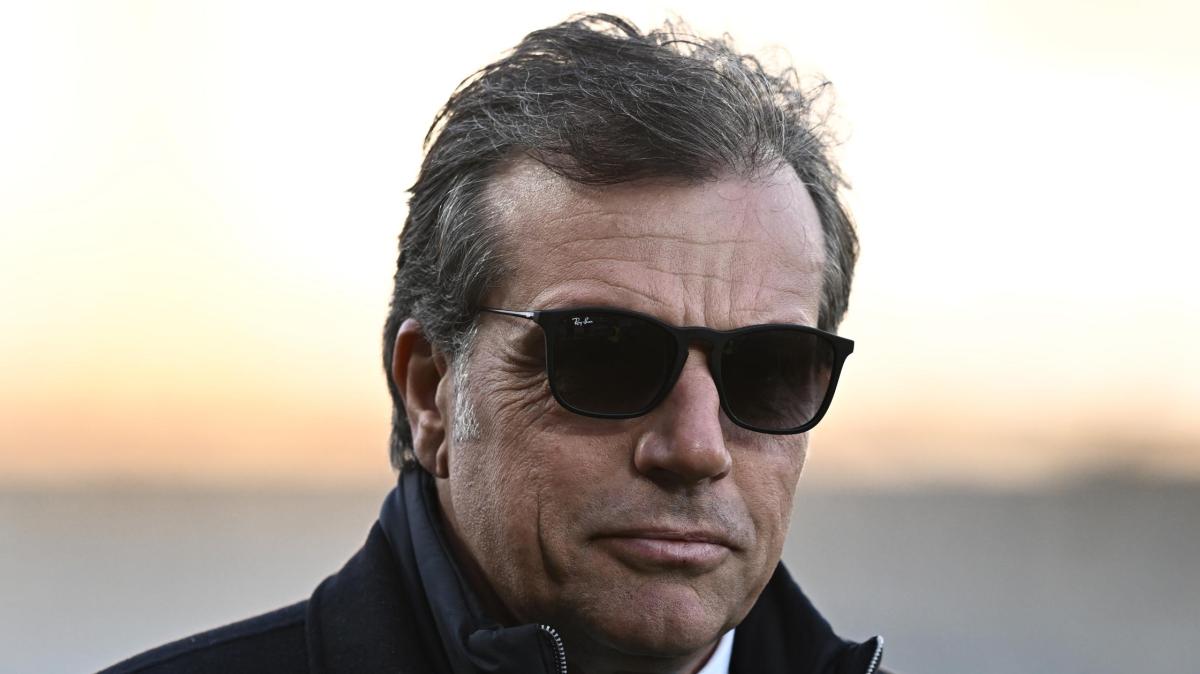 Immagine strip Primo piano n.4