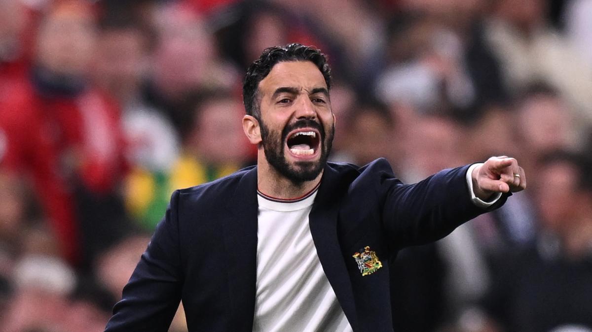 Immagine strip Primo piano n.1