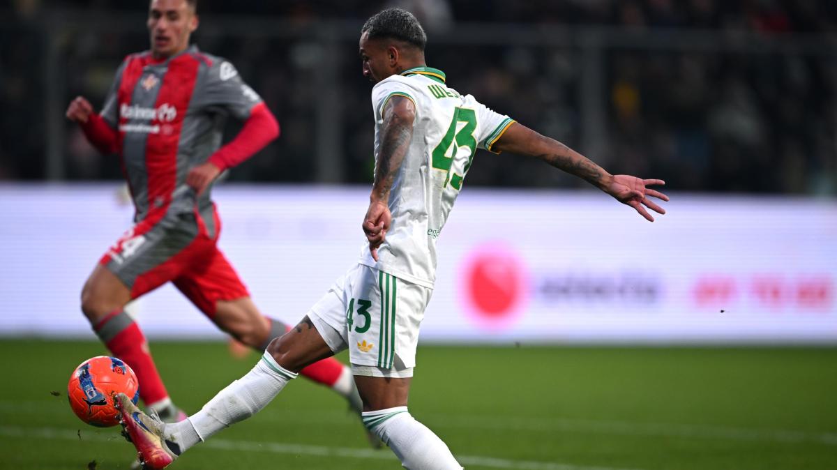 Immagine strip Primo piano n.1