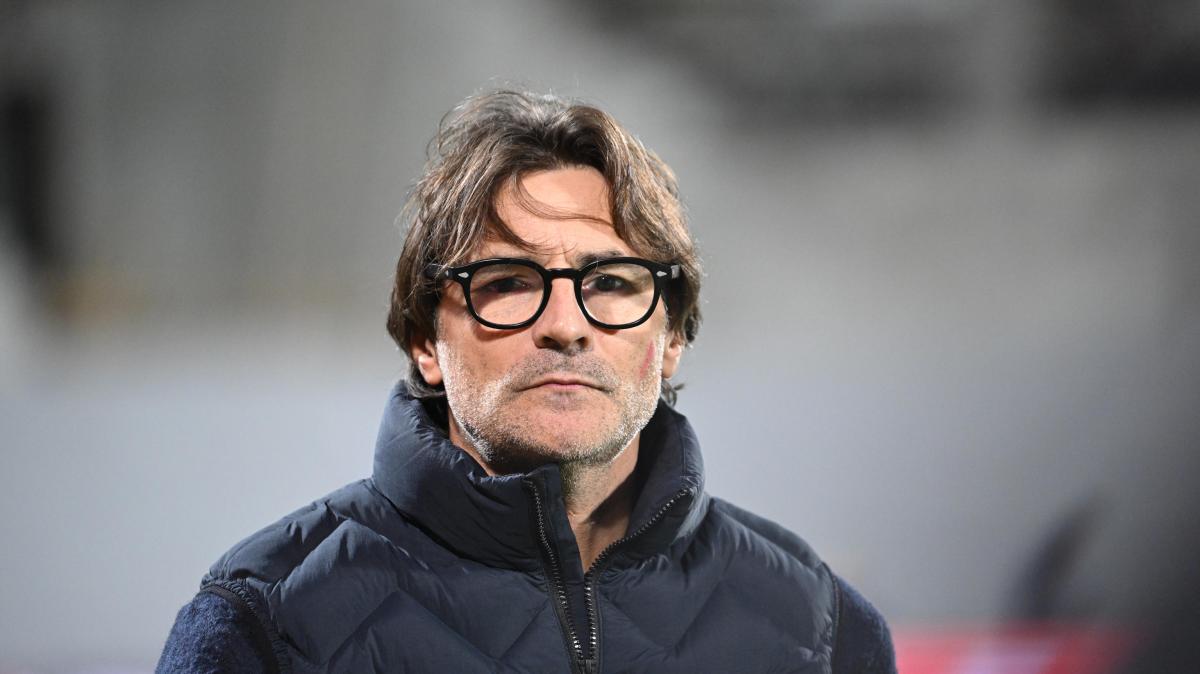 Fiorentina, Vanoli: "La Conference non è un ostacolo ma uno step importante'