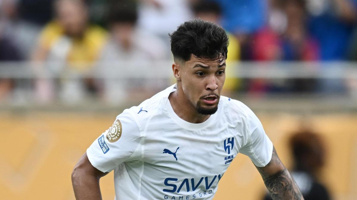 Immagine strip Primo piano n.2