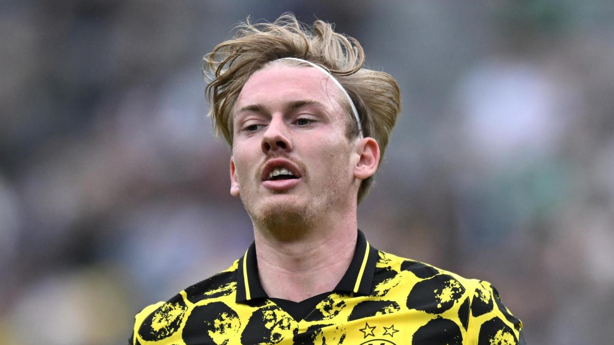 Immagine strip Primo piano n.2