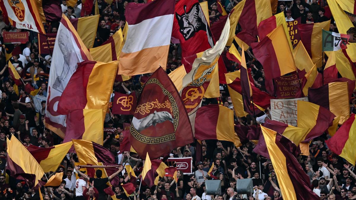 Immagine strip Primo piano n.2