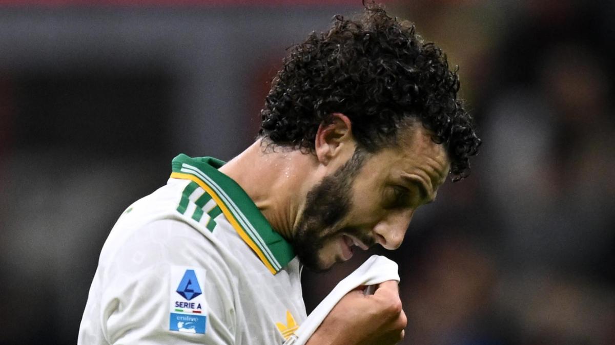 Immagine strip Primo piano n.1