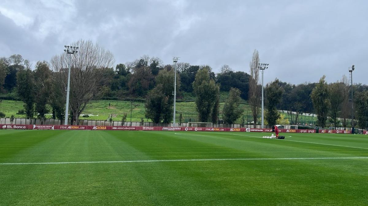 Immagine strip Primo piano n.1