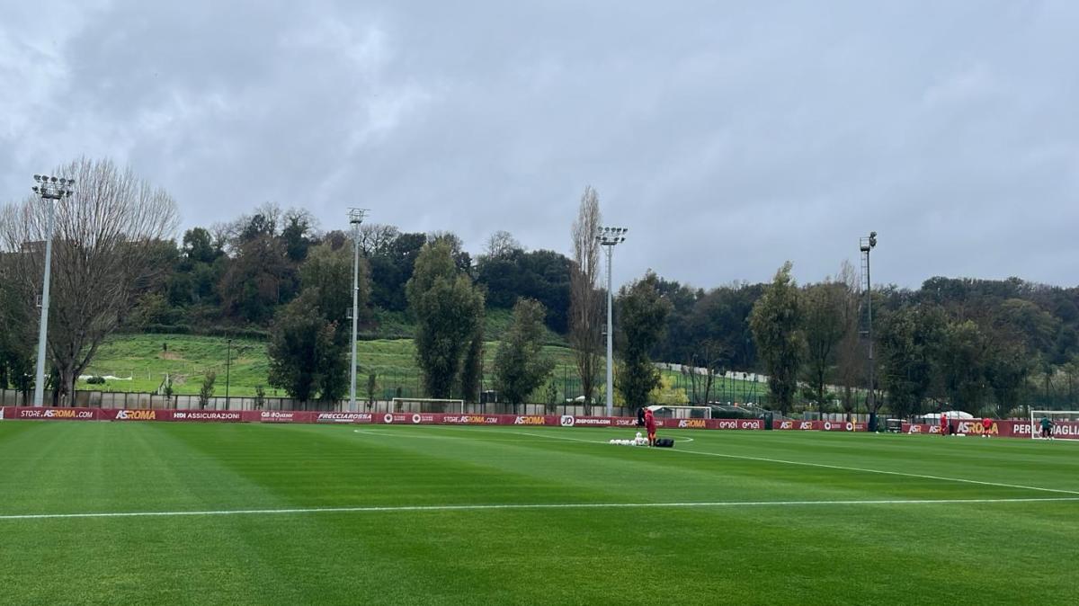 Immagine strip Primo piano n.3