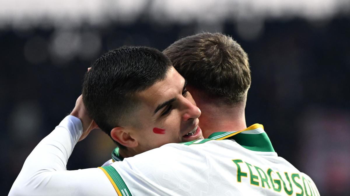 Immagine strip Primo piano n.1