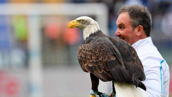Lazio, il falconiere Bernabé è stato sfrattato da Formello