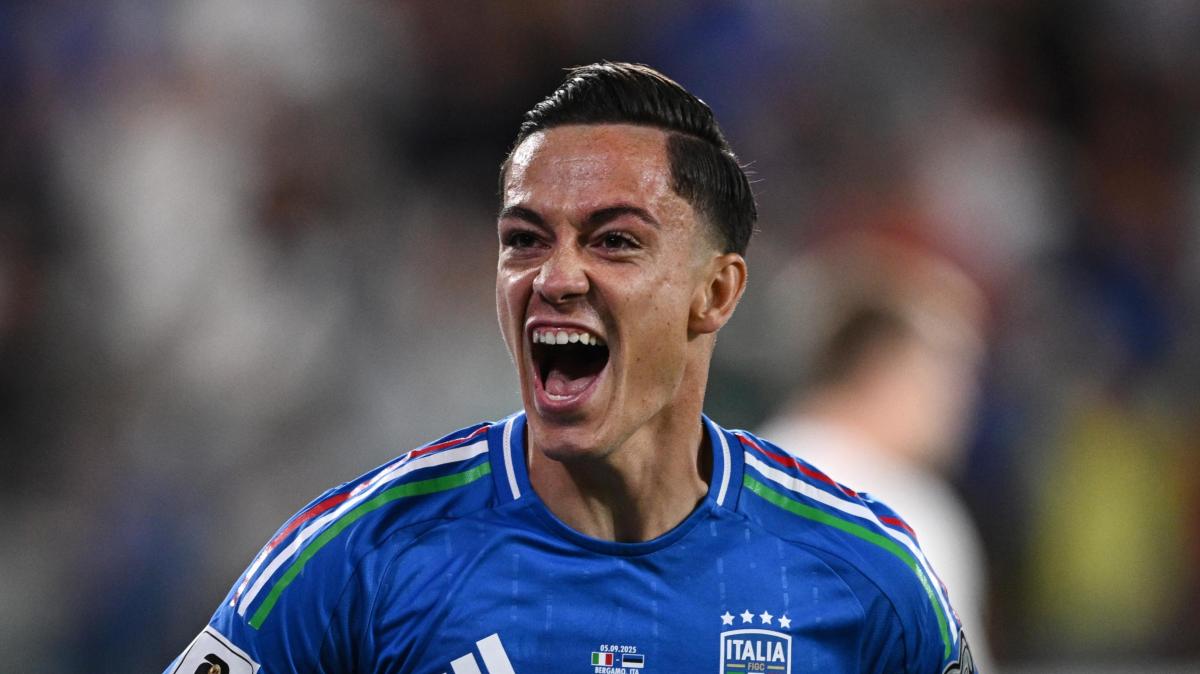 Immagine strip Primo piano n.2