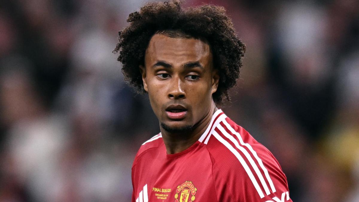 Immagine strip Primo piano n.1