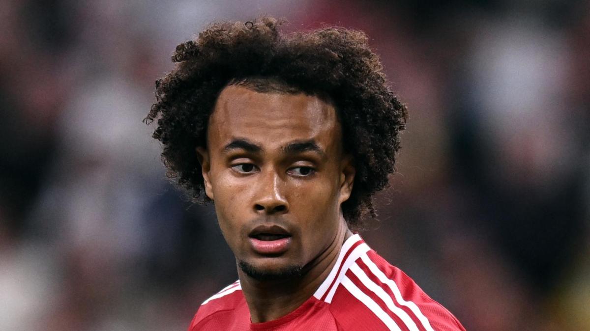 Immagine strip Primo piano n.1